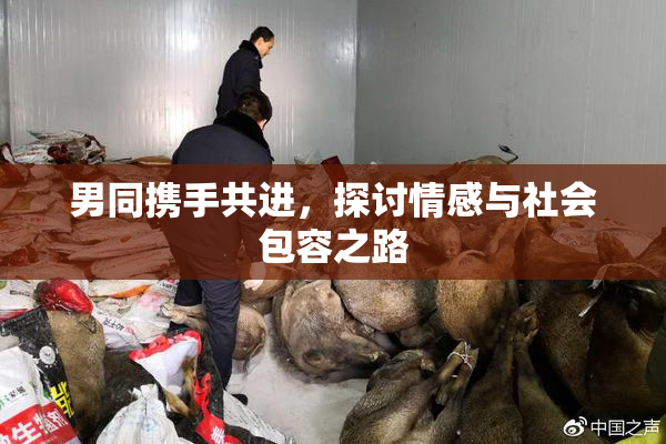 男同携手共进，探讨情感与社会包容之路