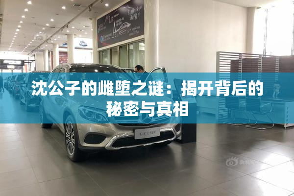 沈公子的雌堕之谜：揭开背后的秘密与真相