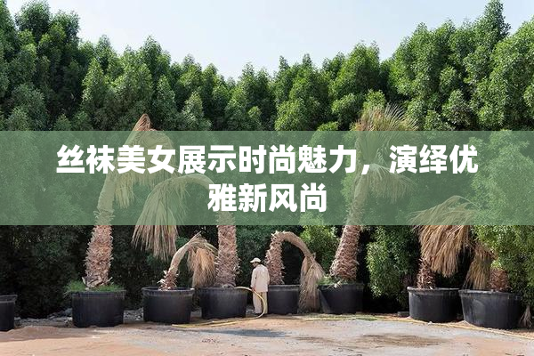 丝袜美女展示时尚魅力，演绎优雅新风尚
