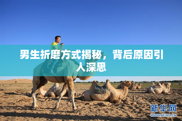 男生折磨方式揭秘，背后原因引人深思