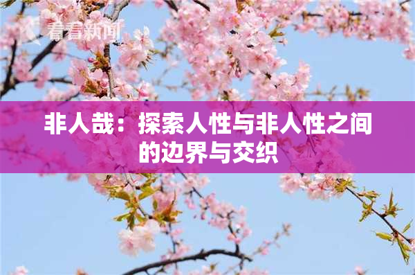非人哉：探索人性与非人性之间的边界与交织