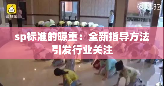 sp标准的晾重：全新指导方法引发行业关注