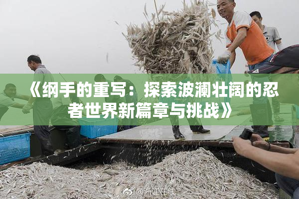 《纲手的重写：探索波澜壮阔的忍者世界新篇章与挑战》