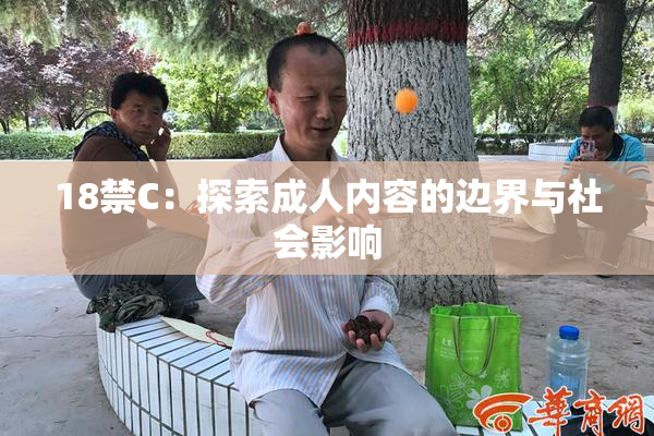 18禁C：探索成人内容的边界与社会影响