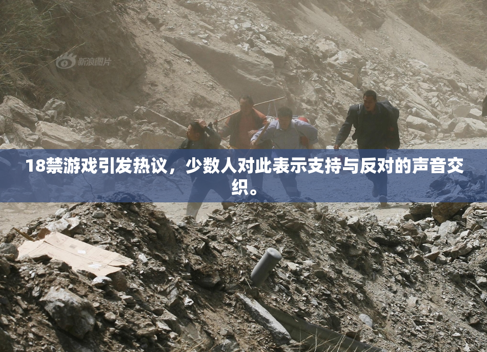 18禁游戏引发热议，少数人对此表示支持与反对的声音交织。