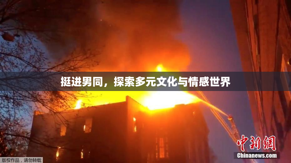 挺进男同，探索多元文化与情感世界