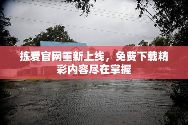 拣爱官网重新上线，免费下载精彩内容尽在掌握