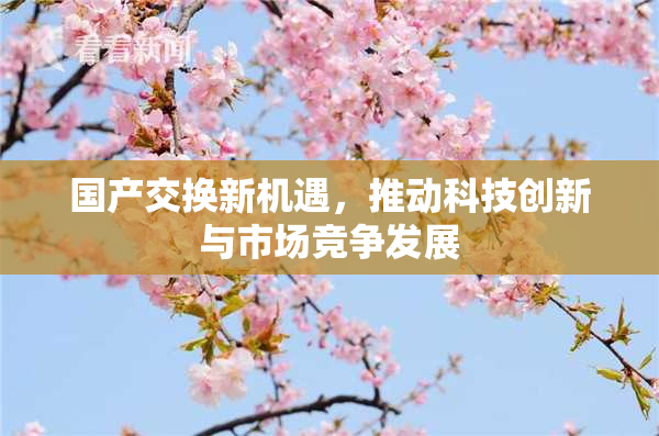 国产交换新机遇，推动科技创新与市场竞争发展