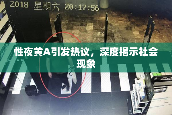 性夜黄A引发热议，深度揭示社会现象