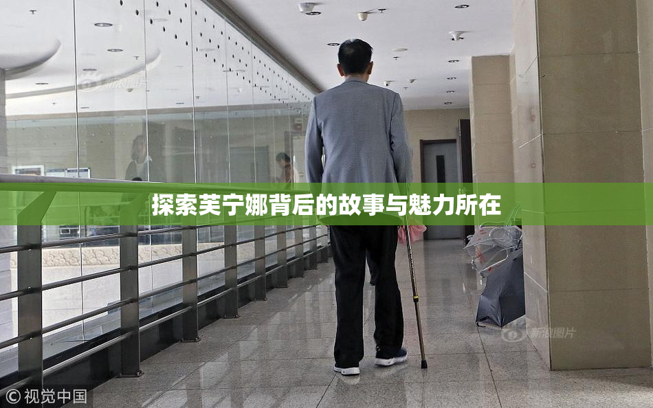 探索芙宁娜背后的故事与魅力所在