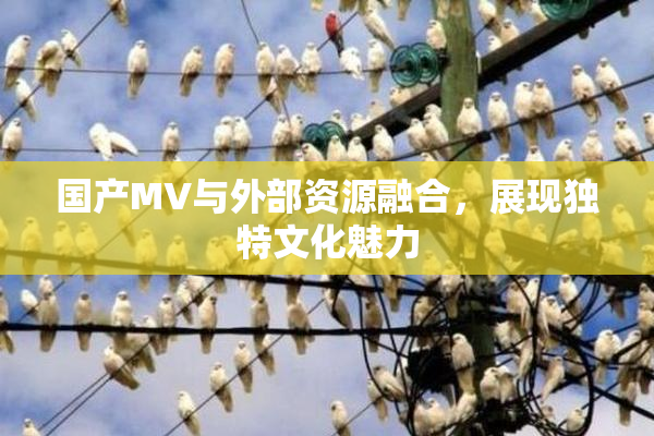 国产MV与外部资源融合，展现独特文化魅力
