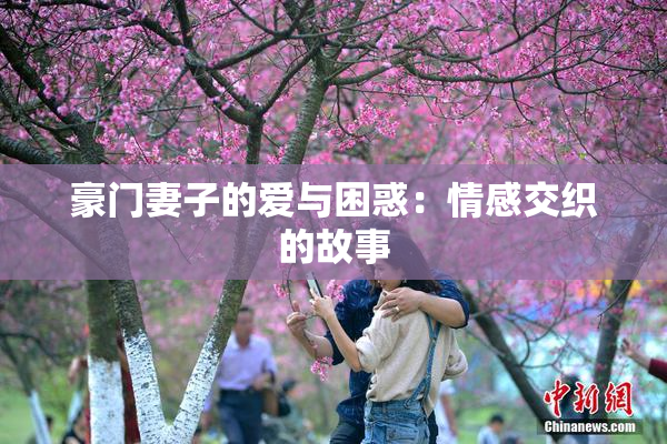 豪门妻子的爱与困惑：情感交织的故事