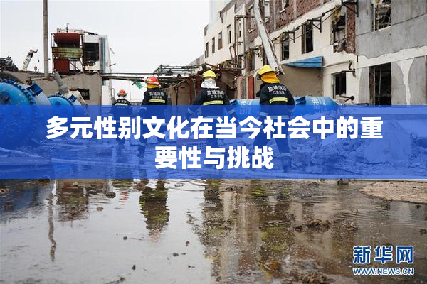 多元性别文化在当今社会中的重要性与挑战