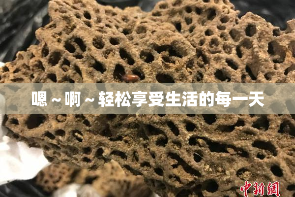 嗯～啊～轻松享受生活的每一天
