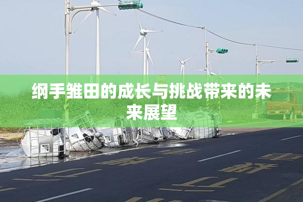 纲手雏田的成长与挑战带来的未来展望