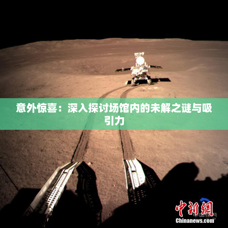 意外惊喜：深入探讨场馆内的未解之谜与吸引力
