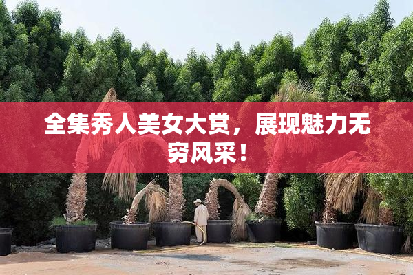 全集秀人美女大赏，展现魅力无穷风采！