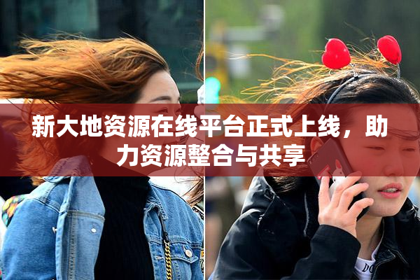新大地资源在线平台正式上线，助力资源整合与共享
