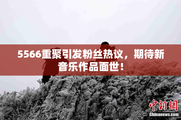 5566重聚引发粉丝热议，期待新音乐作品面世！