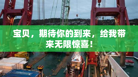 宝贝，期待你的到来，给我带来无限惊喜！