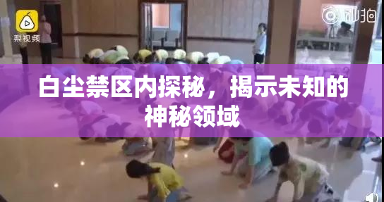 白尘禁区内探秘，揭示未知的神秘领域