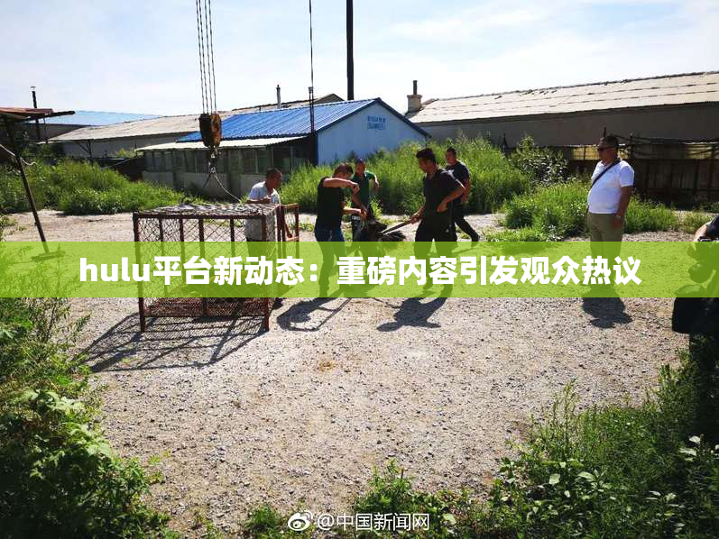 hulu平台新动态：重磅内容引发观众热议