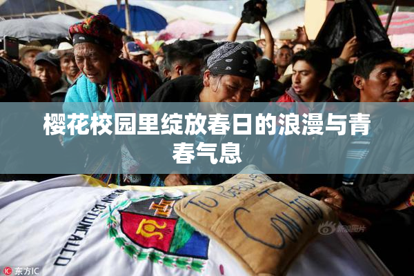 樱花校园里绽放春日的浪漫与青春气息