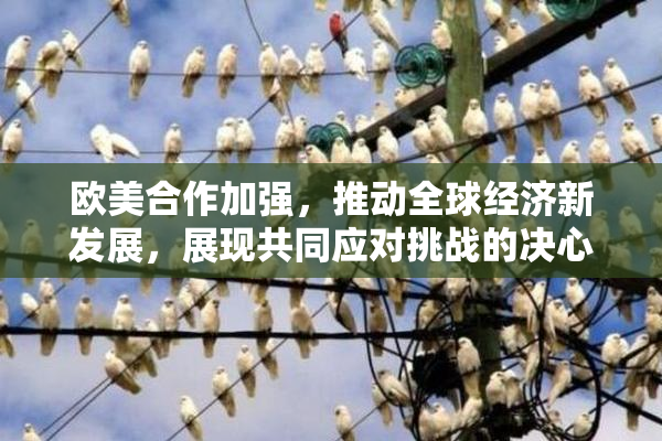 欧美合作加强，推动全球经济新发展，展现共同应对挑战的决心