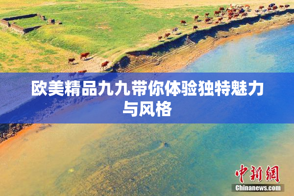欧美精品九九带你体验独特魅力与风格