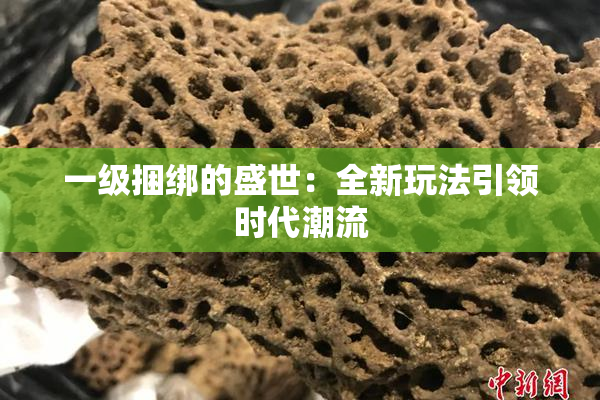 一级捆绑的盛世：全新玩法引领时代潮流