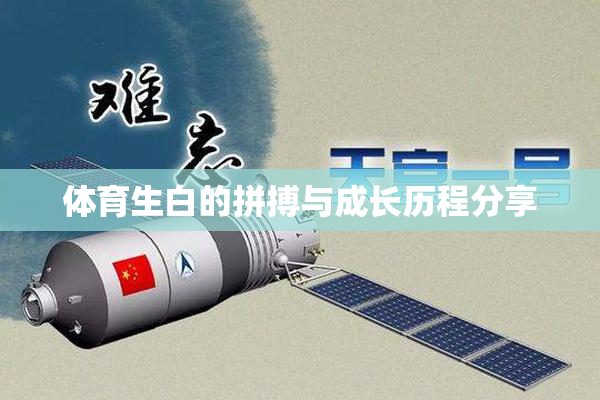 体育生白的拼搏与成长历程分享