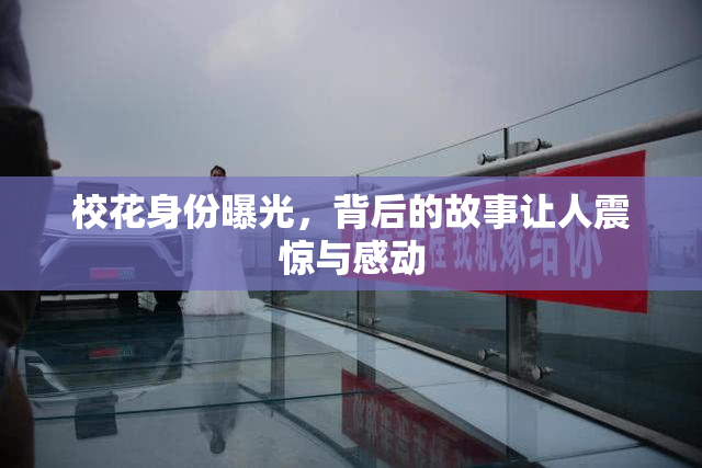 校花身份曝光，背后的故事让人震惊与感动
