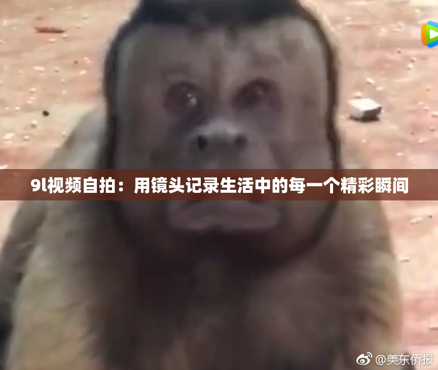 9l视频自拍：用镜头记录生活中的每一个精彩瞬间
