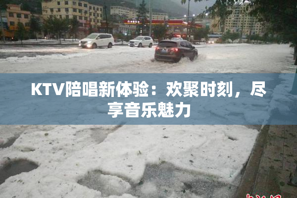 KTV陪唱新体验：欢聚时刻，尽享音乐魅力