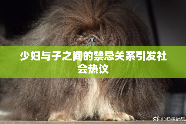 少妇与子之间的禁忌关系引发社会热议