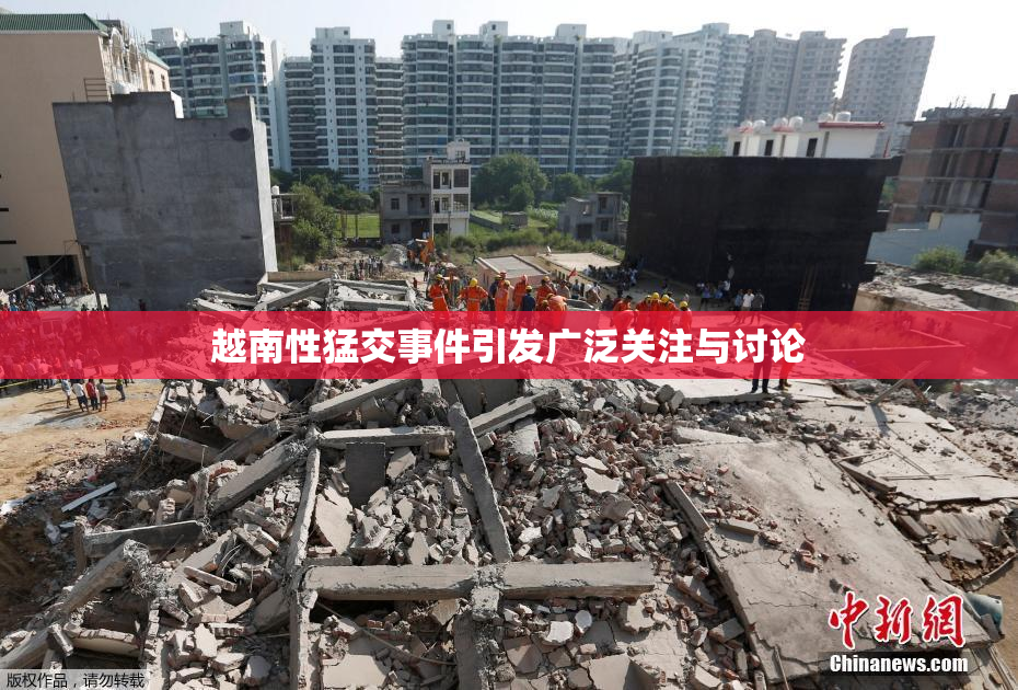 越南性猛交事件引发广泛关注与讨论
