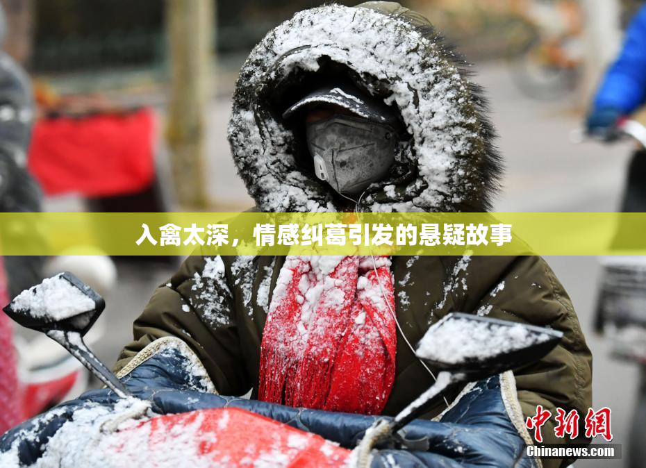 入禽太深，情感纠葛引发的悬疑故事