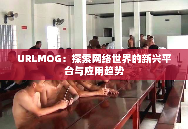 URLMOG：探索网络世界的新兴平台与应用趋势