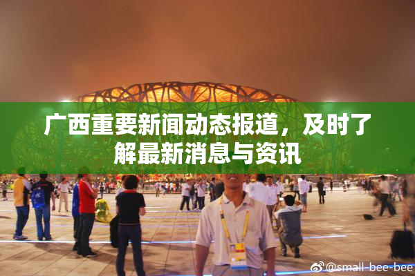 广西重要新闻动态报道，及时了解最新消息与资讯