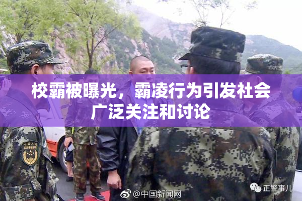校霸被曝光，霸凌行为引发社会广泛关注和讨论