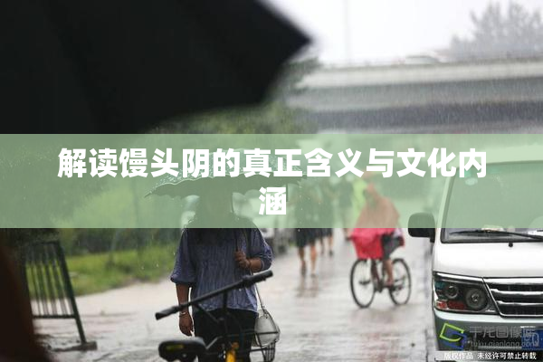 解读馒头阴的真正含义与文化内涵