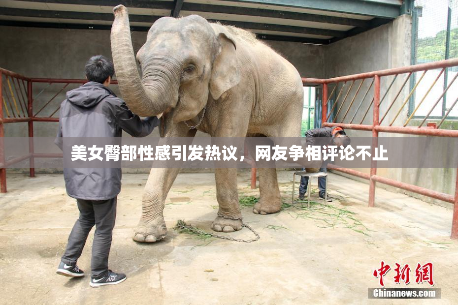 美女臀部性感引发热议，网友争相评论不止