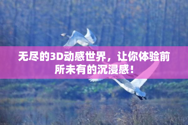 无尽的3D动感世界，让你体验前所未有的沉浸感！