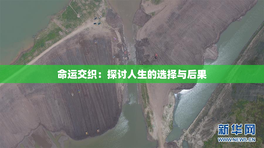 命运交织：探讨人生的选择与后果