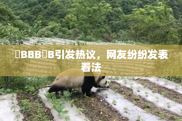 嫰BBB槡B引发热议，网友纷纷发表看法