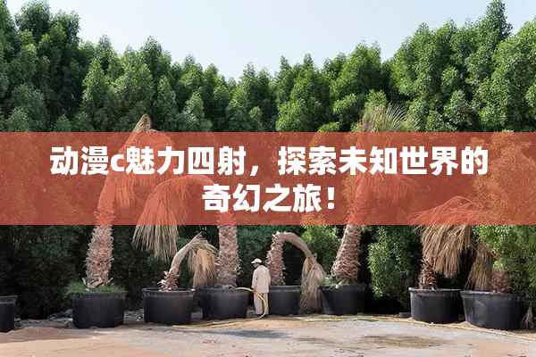 动漫c魅力四射，探索未知世界的奇幻之旅！