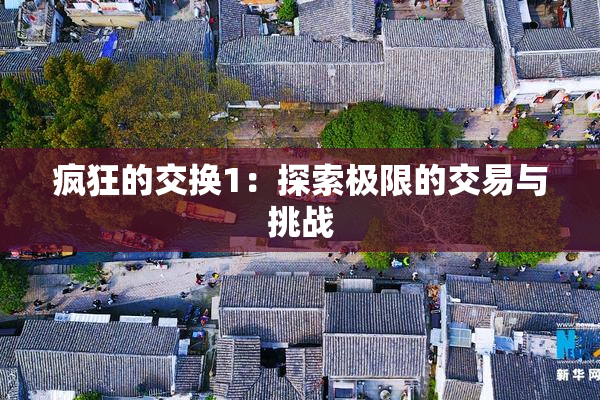 疯狂的交换1：探索极限的交易与挑战