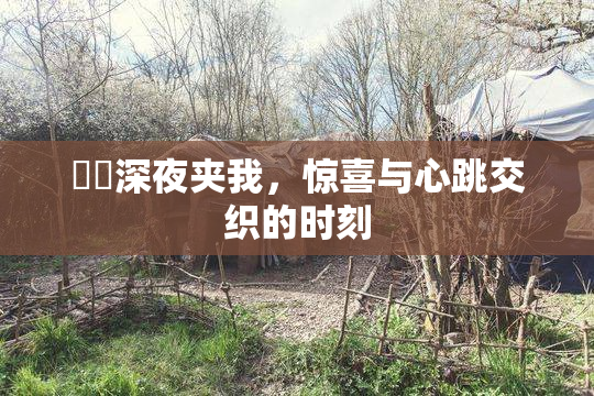 妺妺深夜夹我，惊喜与心跳交织的时刻