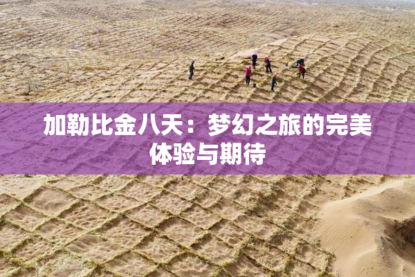 加勒比金八天：梦幻之旅的完美体验与期待