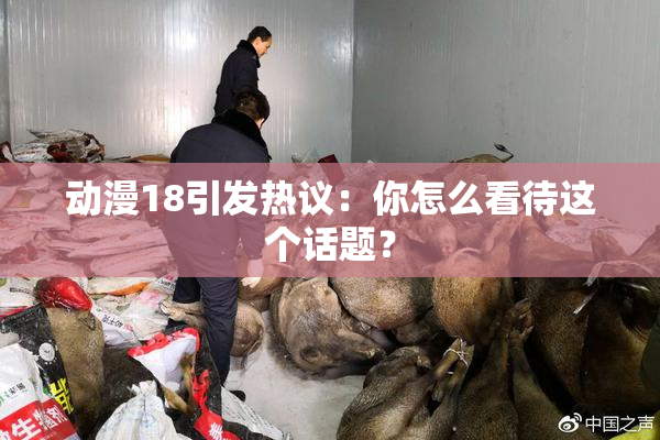动漫18引发热议：你怎么看待这个话题？
